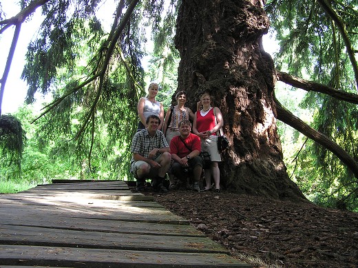 img00045.jpg